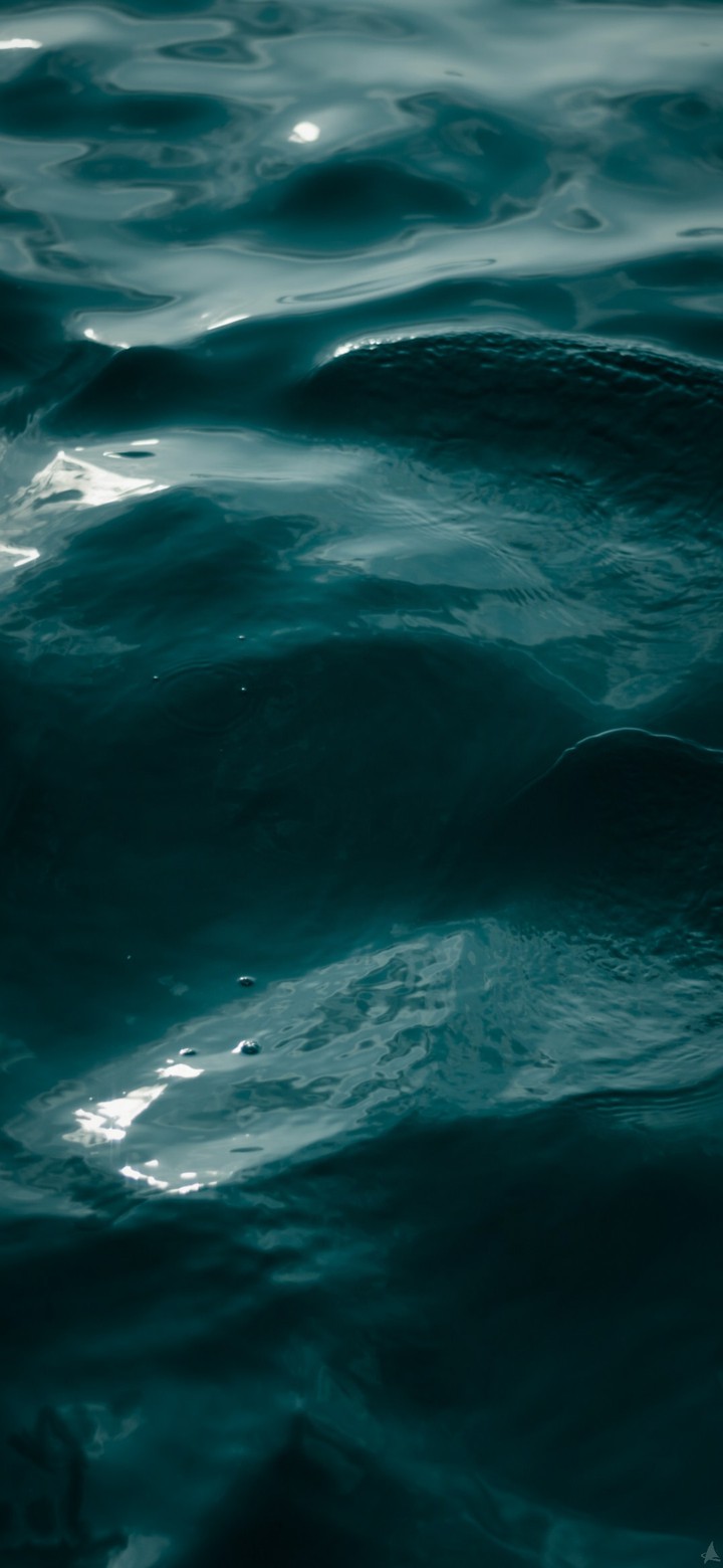 Sea