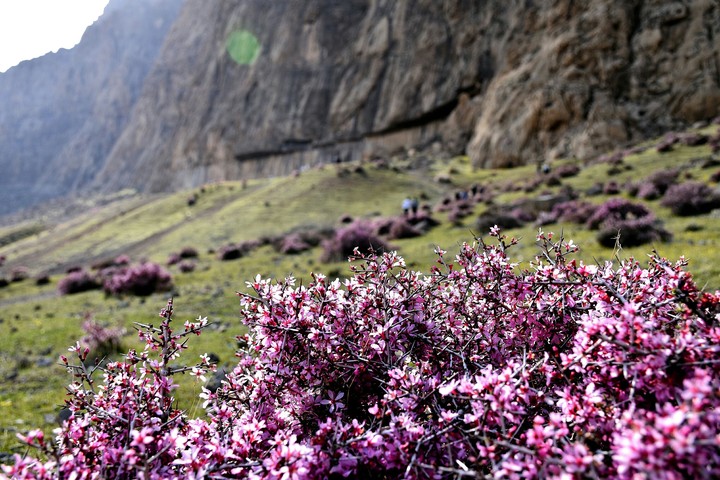 kermanshah, iran