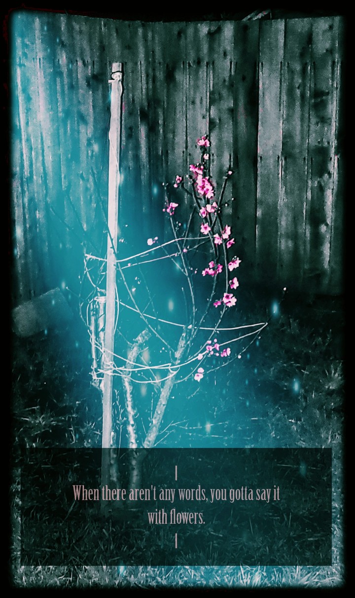 .. some kind of bloom