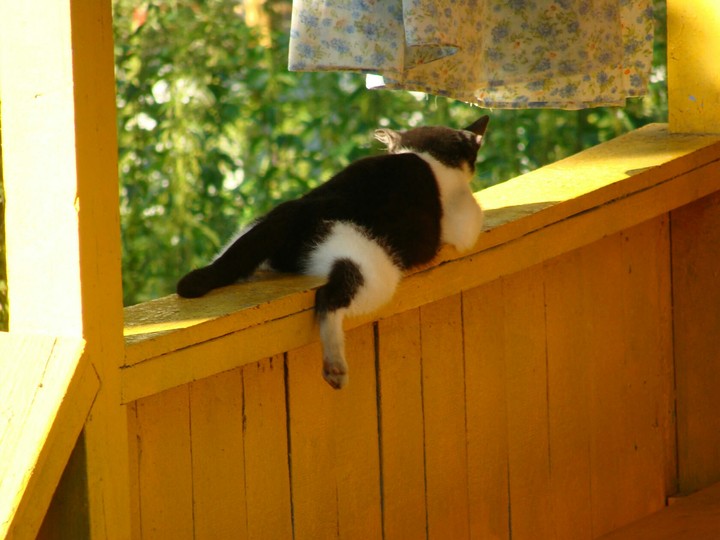 Relax) Take it easy