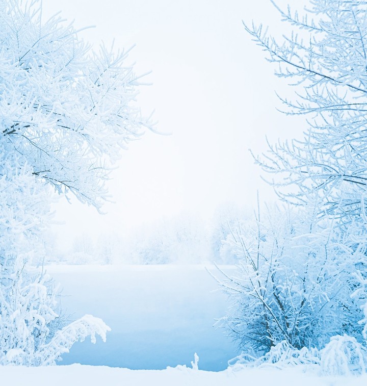 beautiful wintery scenery :)