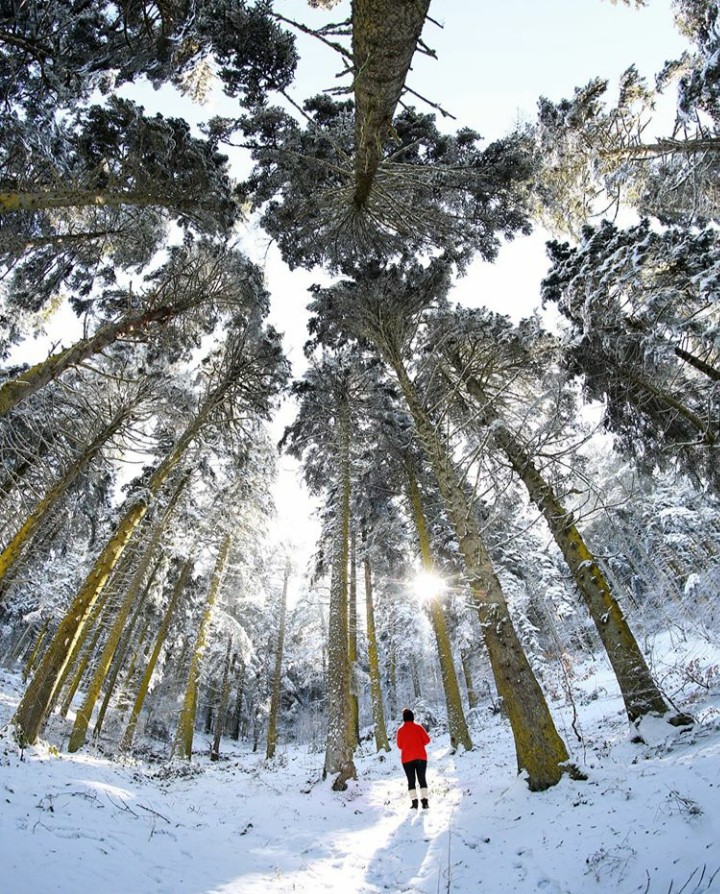 bolu TURKEY