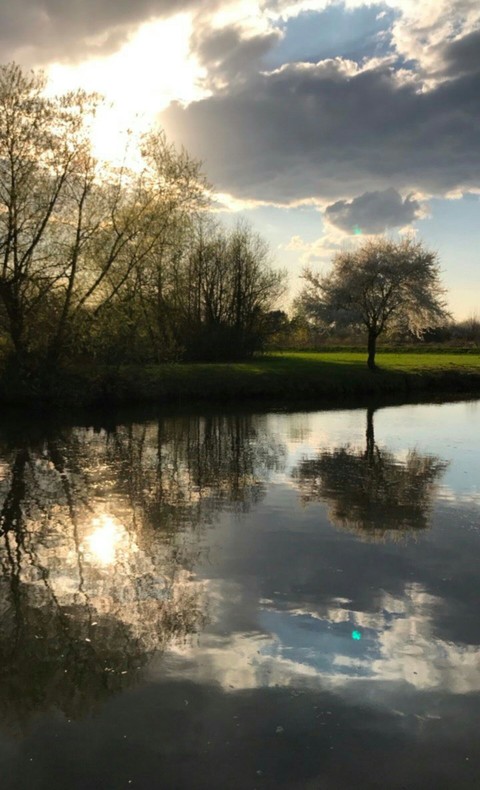 шпалери lake, sunlight