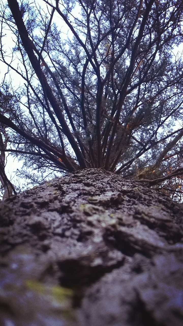 Love of nature
