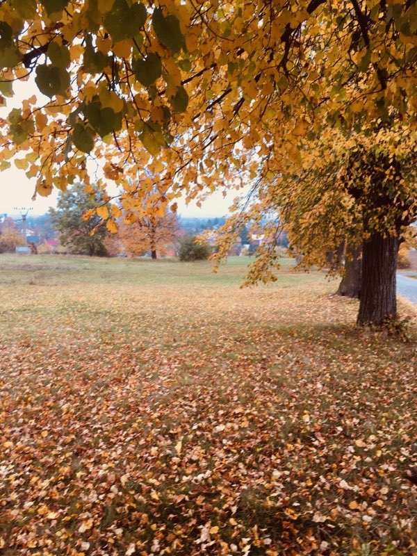 autumn