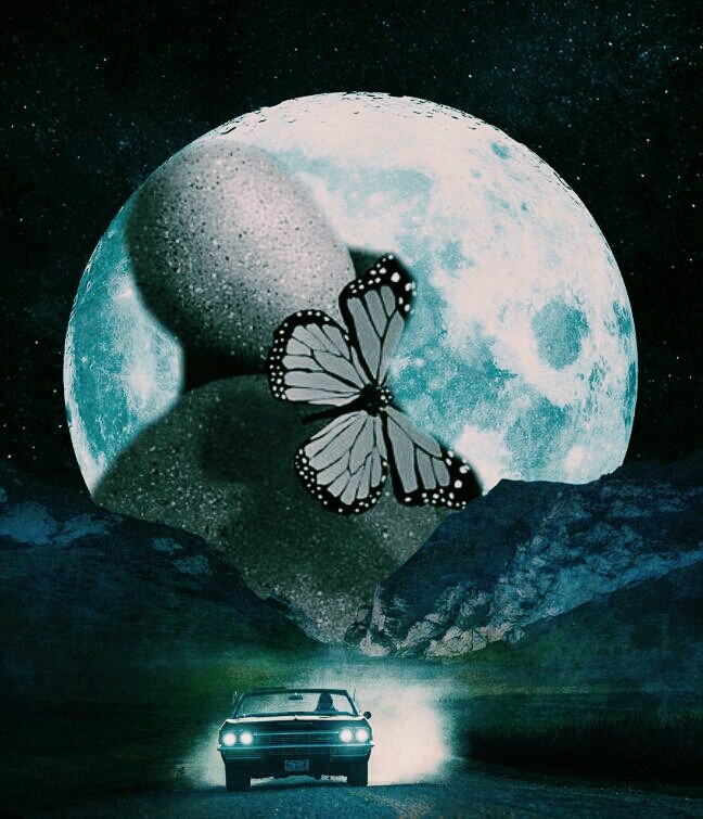 butterfly moon drive