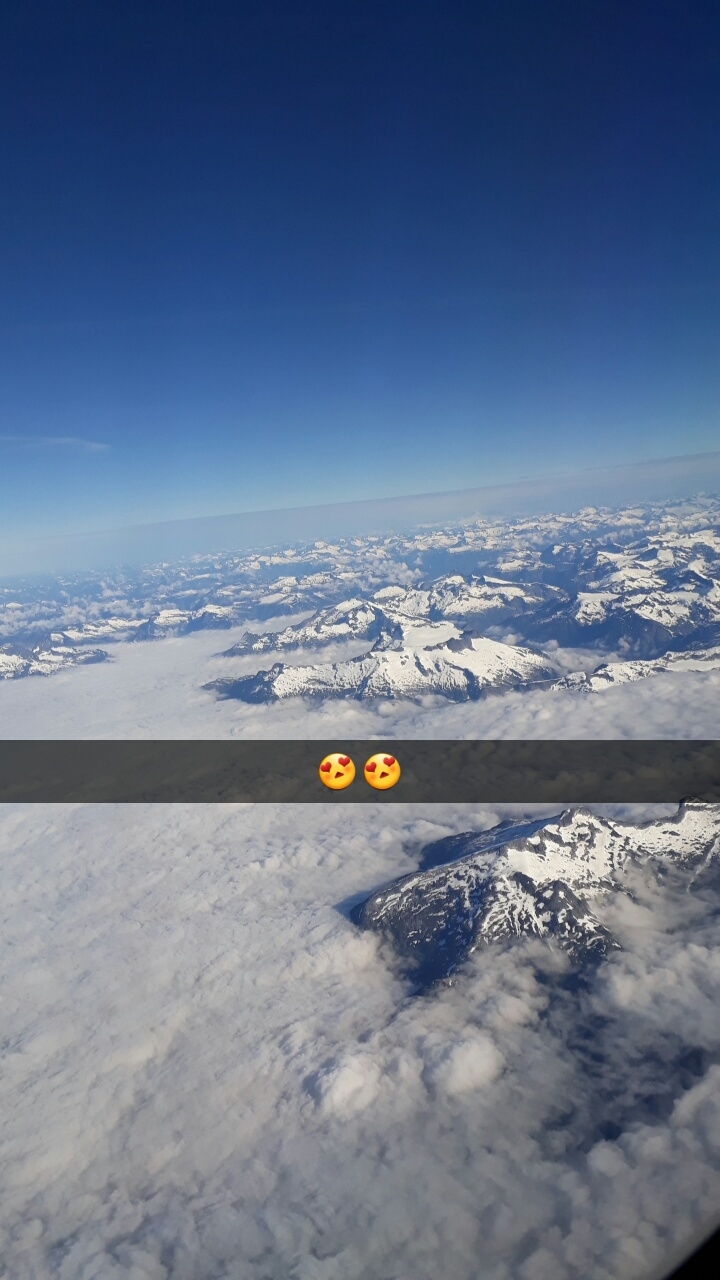 flight view