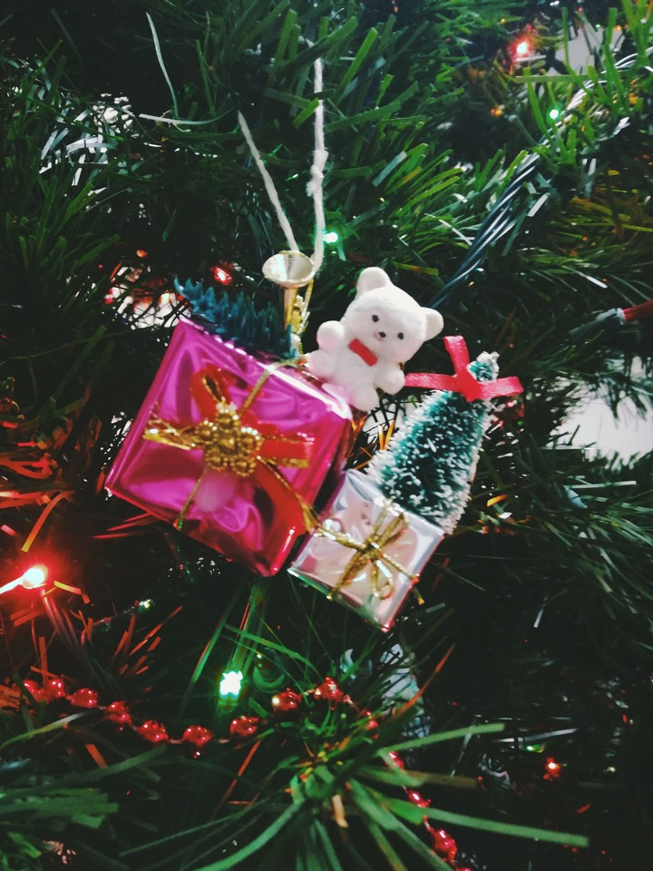 Xmas teddy