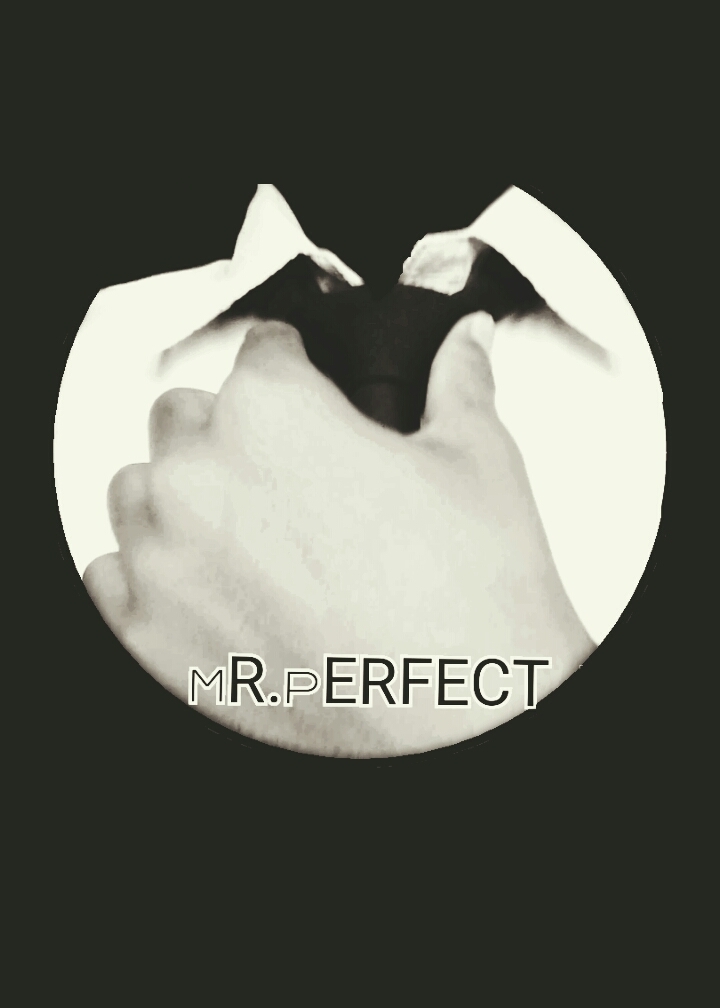 Mr.perfect