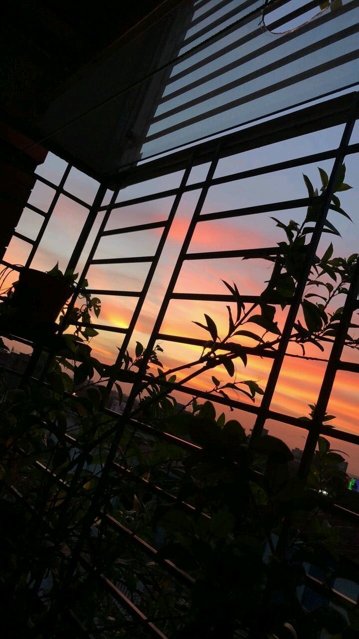 Evening