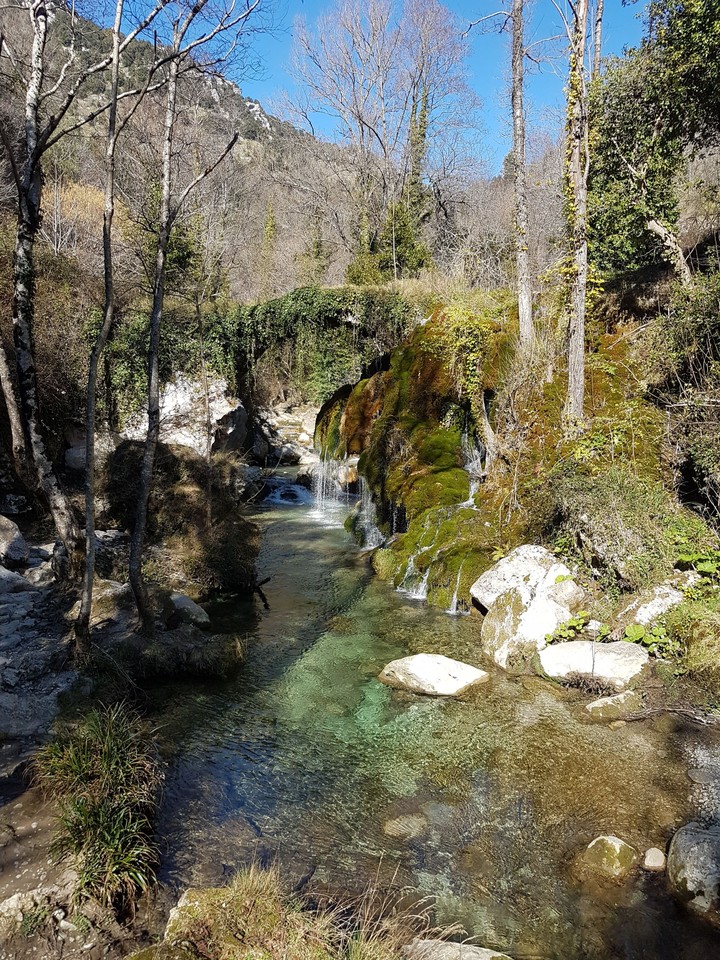 natura