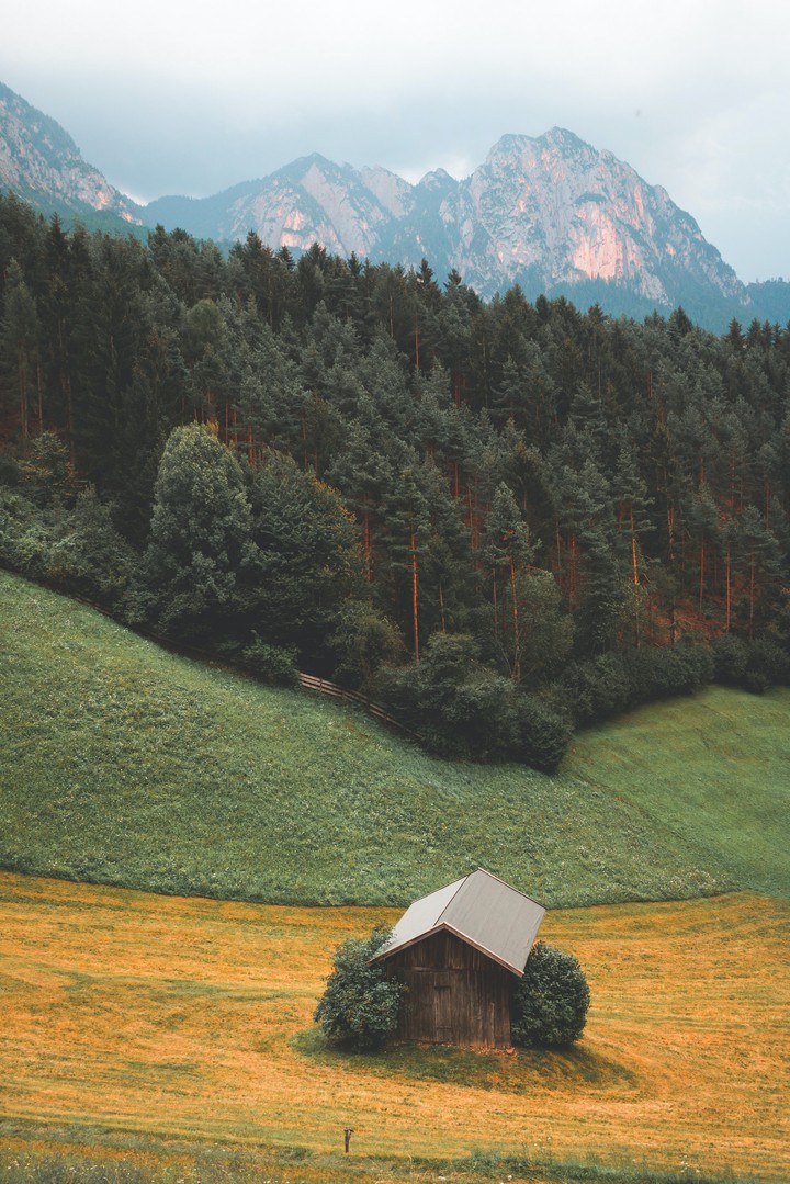 nature