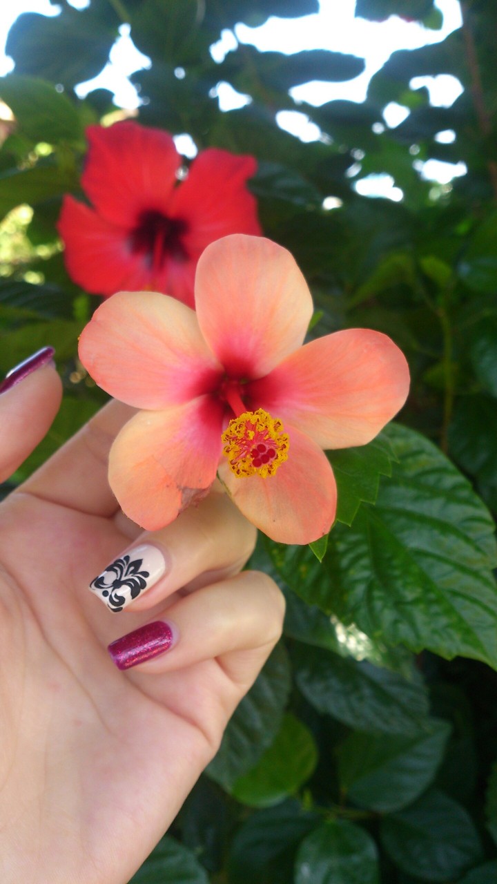 flower