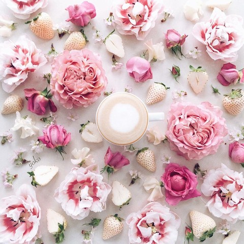 flowers