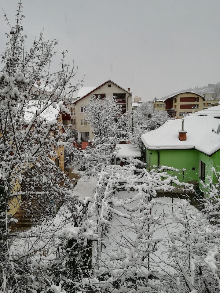 Cluj-Napoca. Winter.
