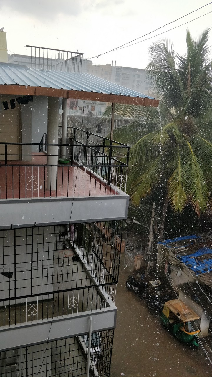 Rain
