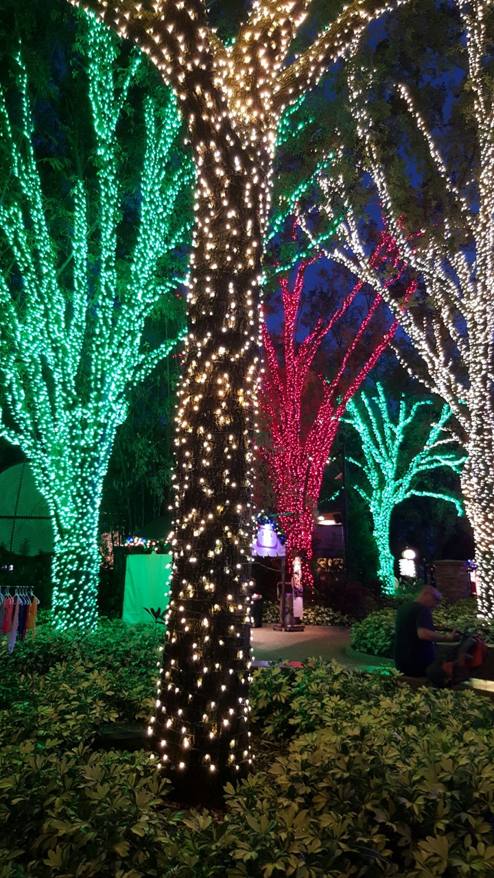 Florida Christmas village