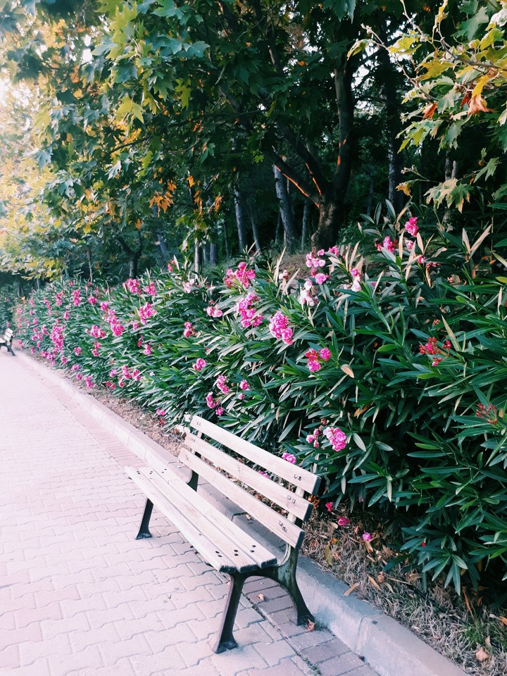 Bekleyiş