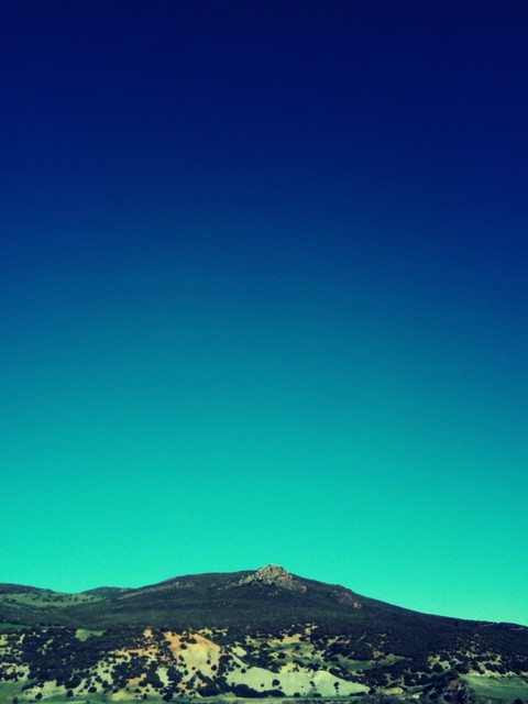 PRG