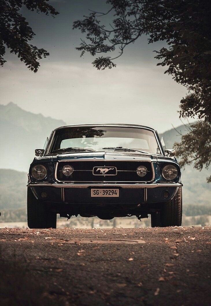 cars background