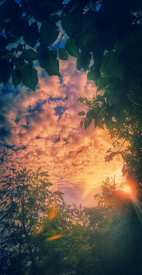 шпалери sunset, clouds