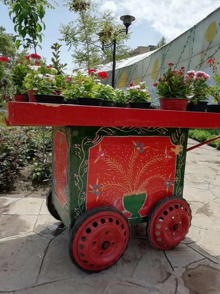 iranian Trolleys