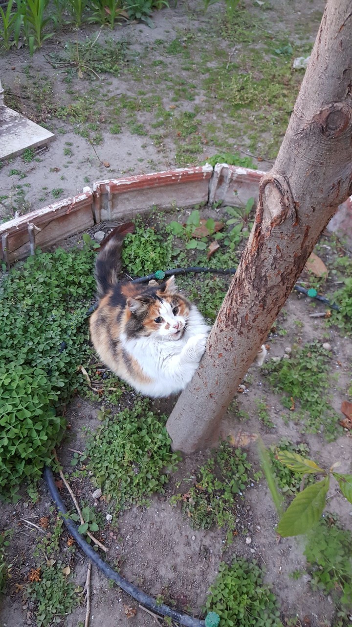 Давай играй со мной. Я жду !!! Play with me. I wait for you!