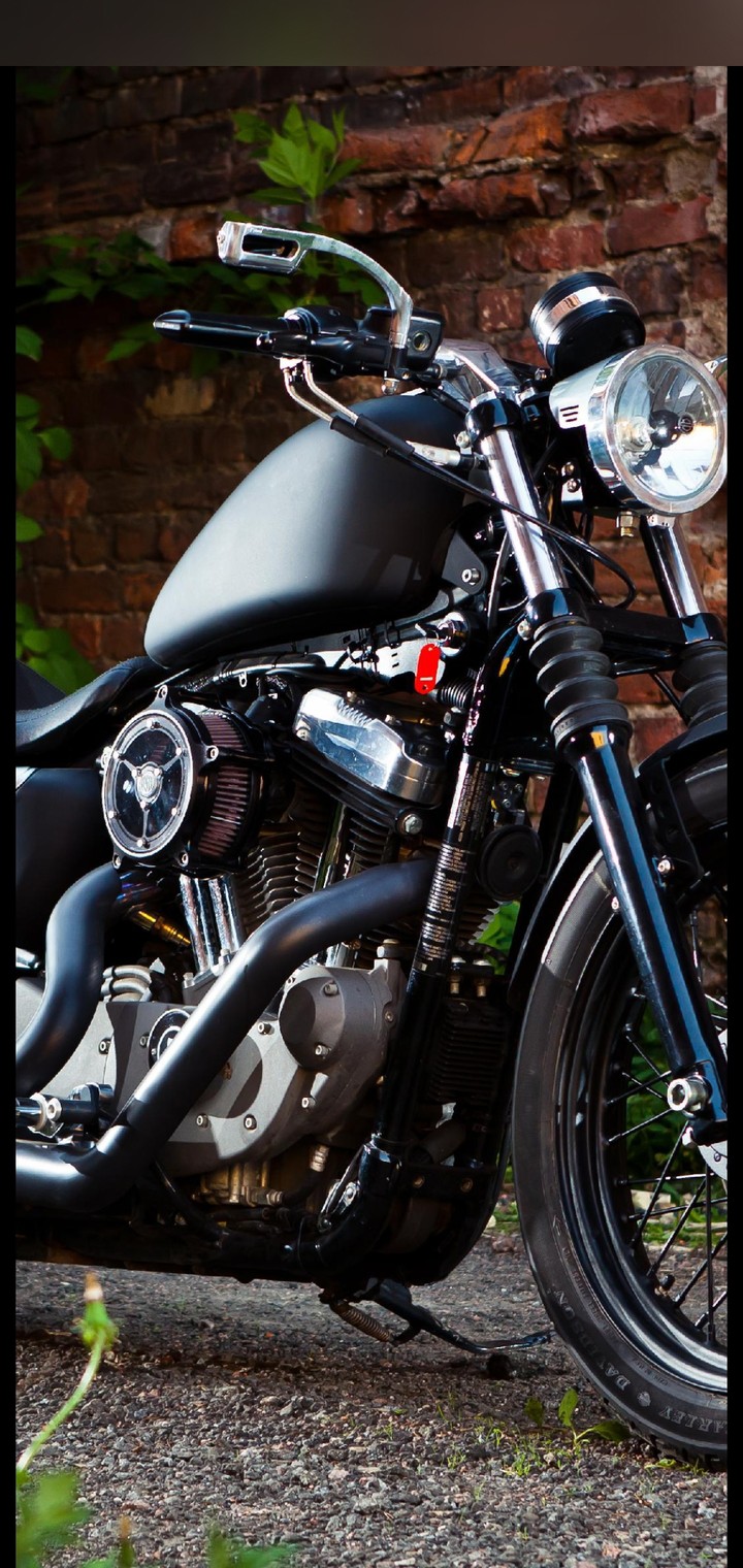 bike picture