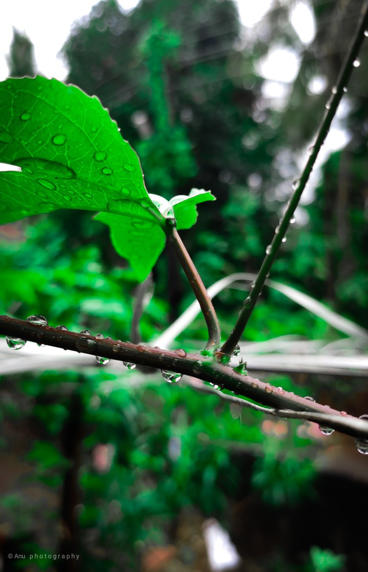 rainy day