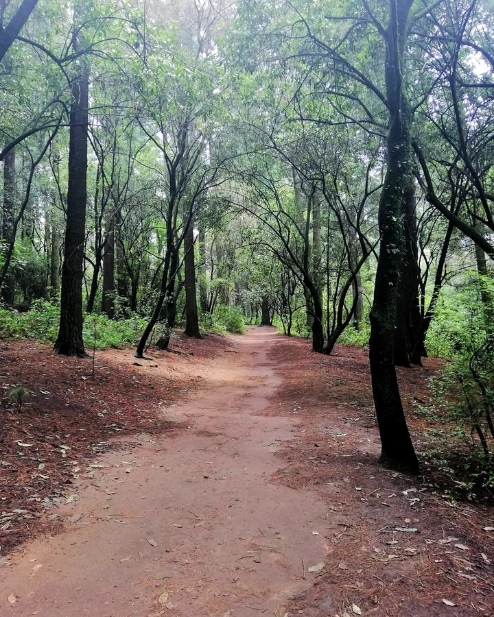 Park