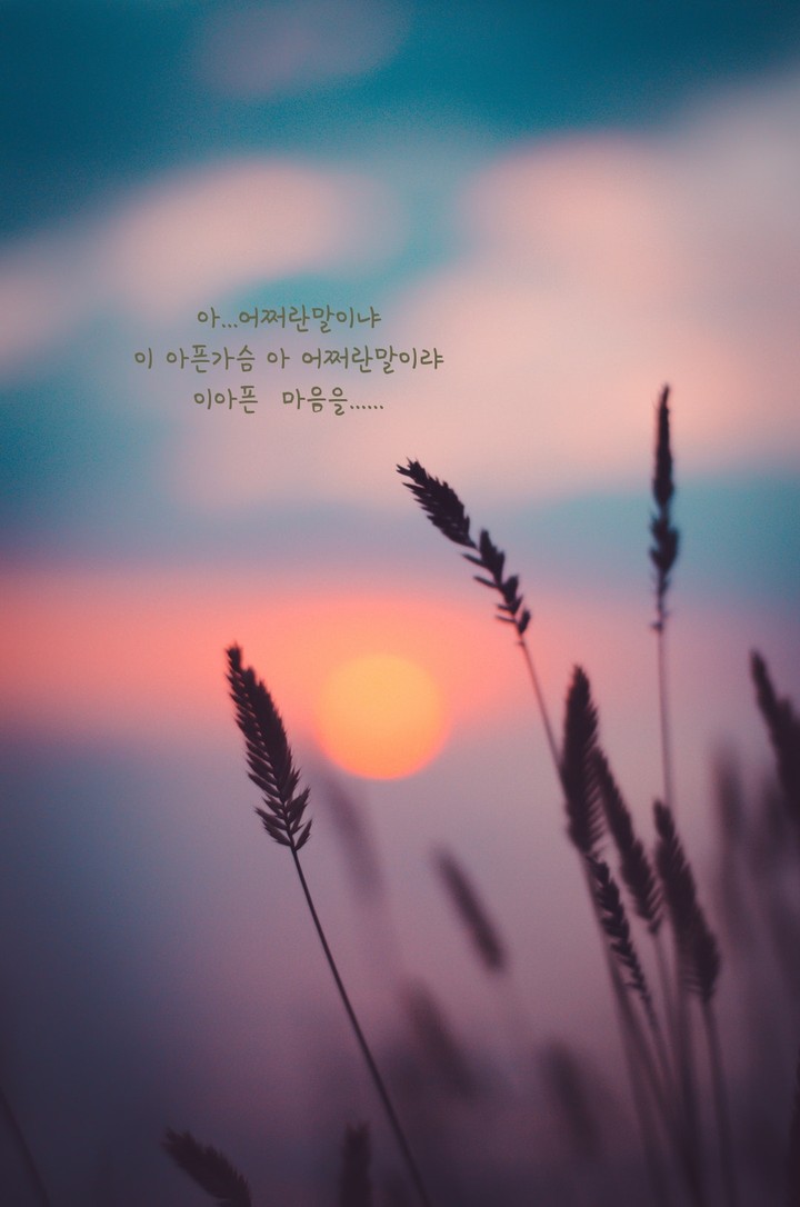 아파