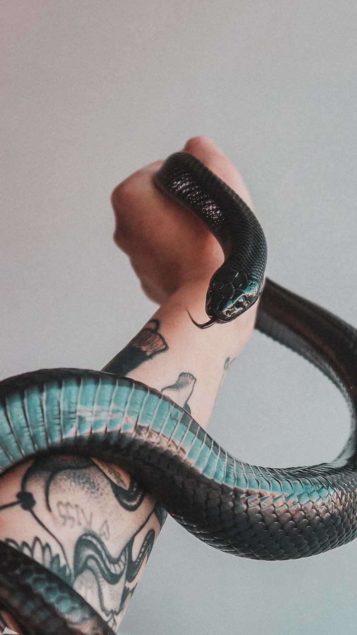 snake