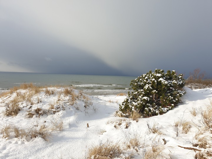 Baltic sea in the winter