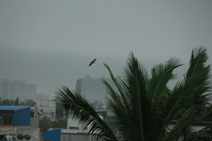 life after storm