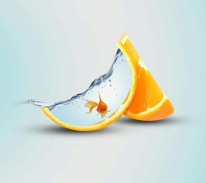 Lemon-fish
