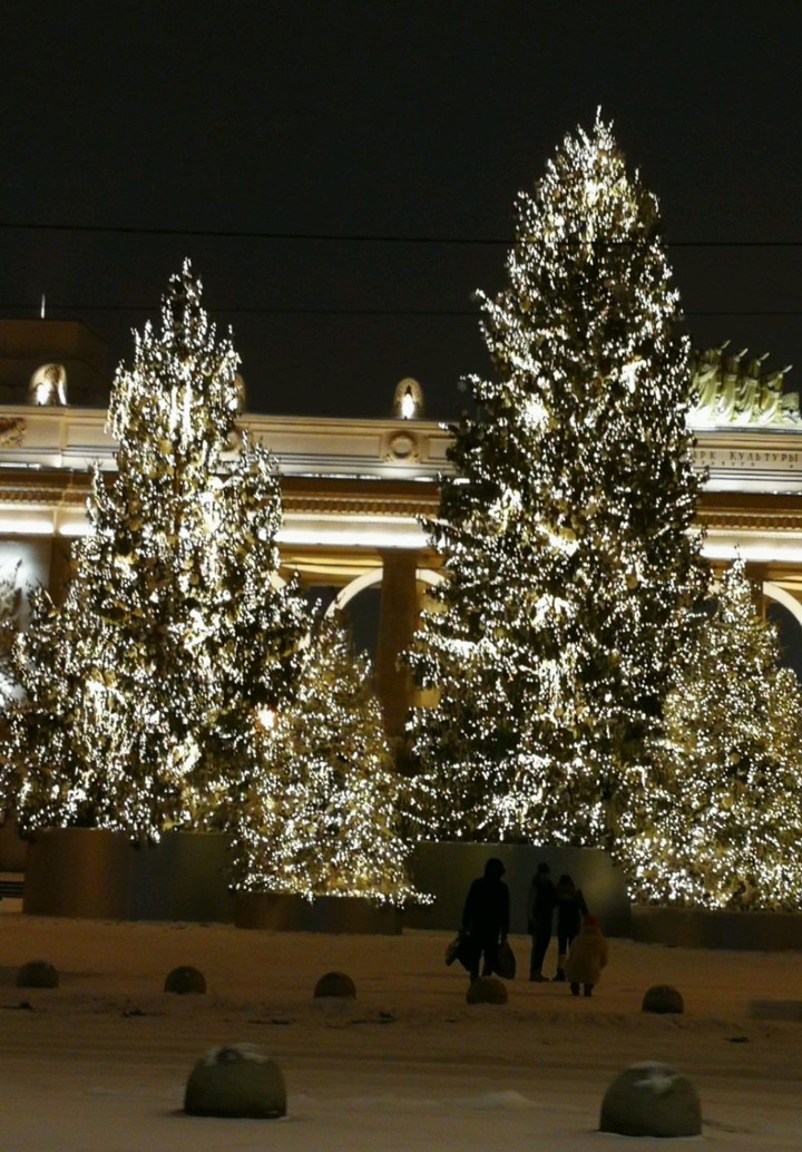 New year in Moscow