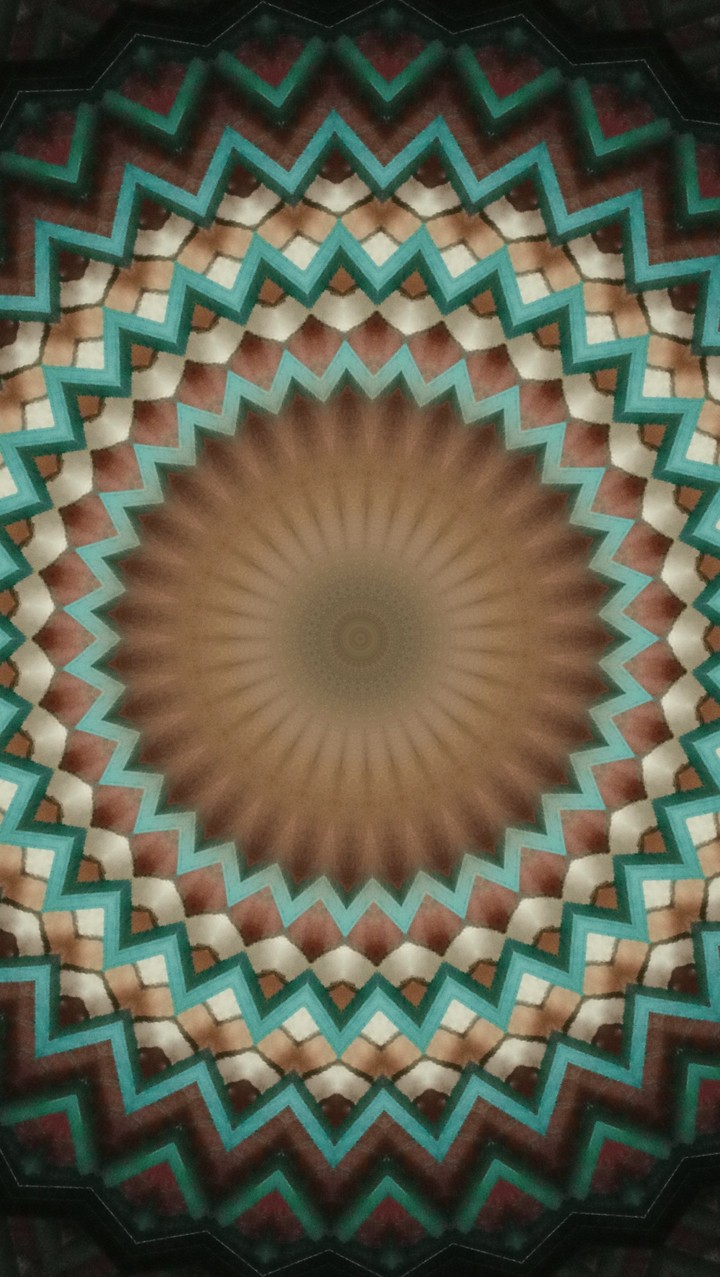 229
