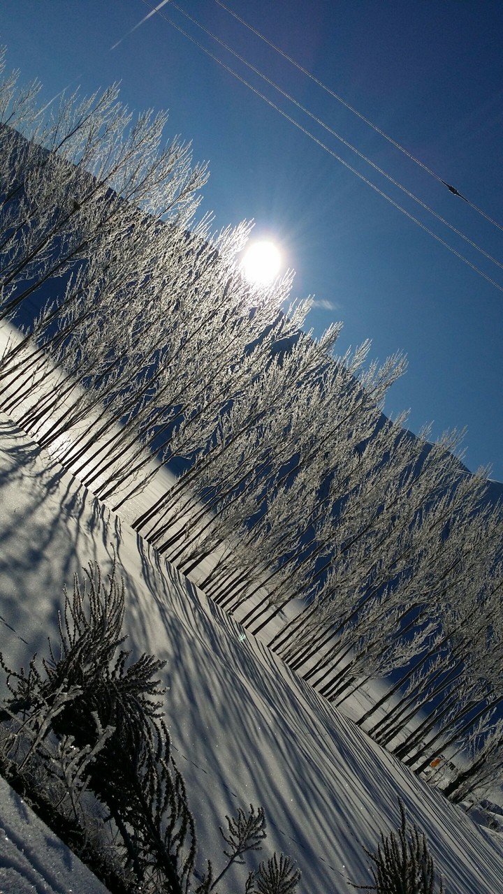 winter