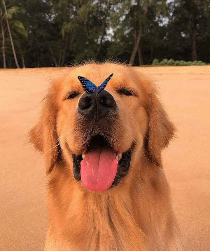❤️?