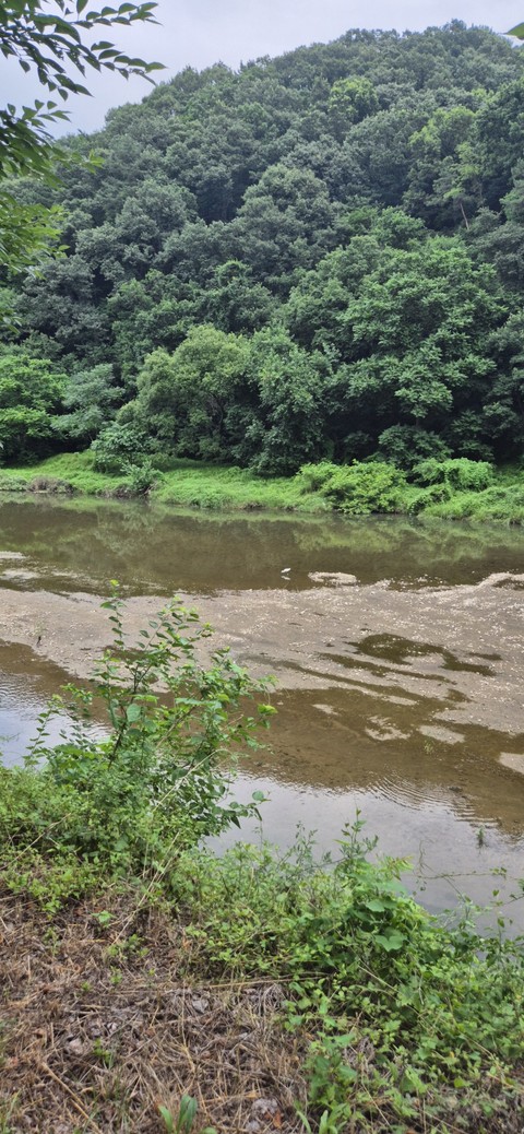 ταπετσαρίες watercourse, nature