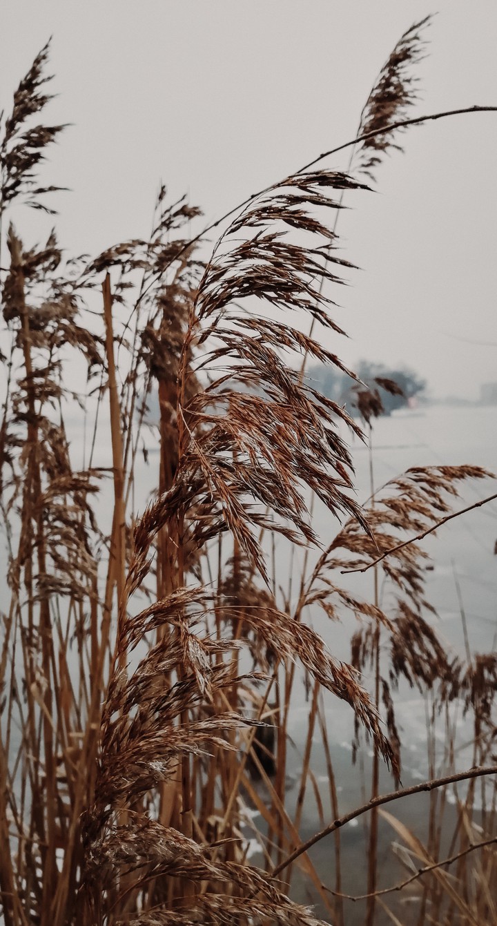 Fall