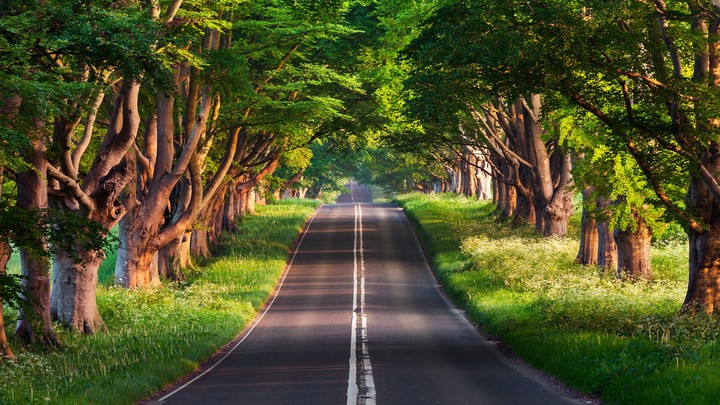 nature