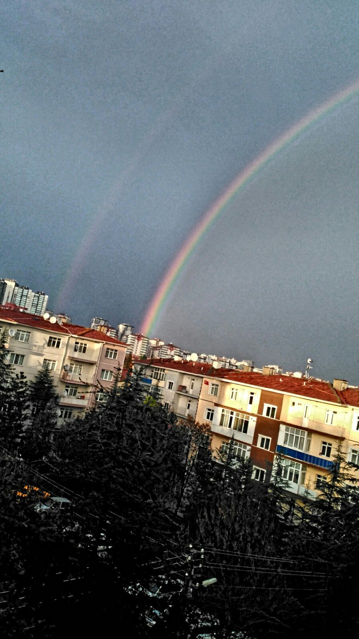 Rainbow