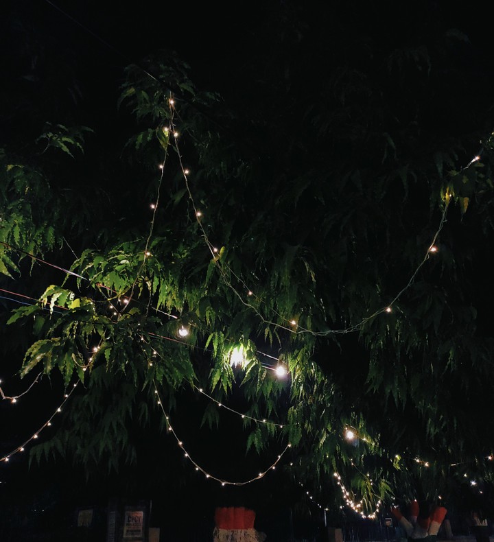 Lights Up
