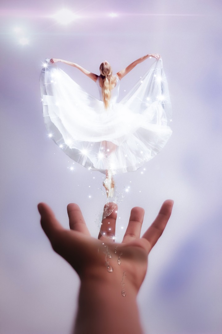 fairy