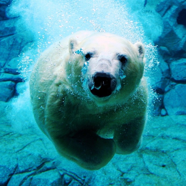 ours