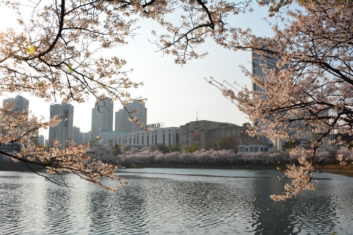 풍경이미지