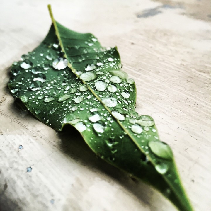 After rains