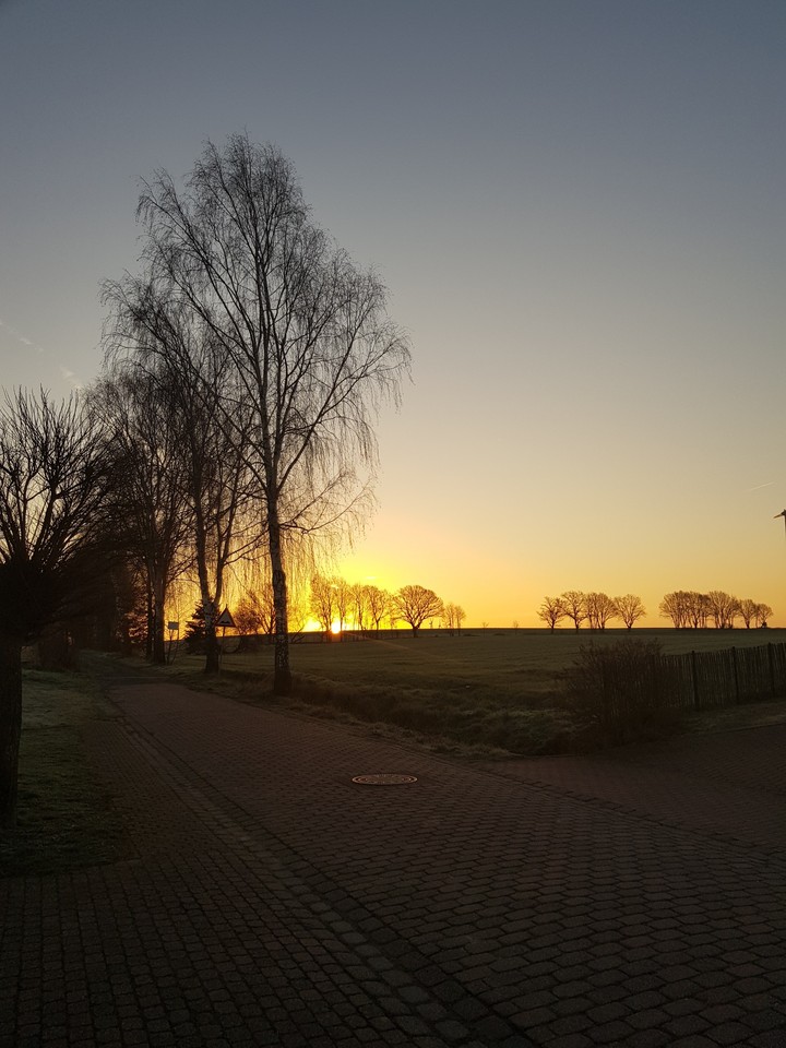 Sunrise