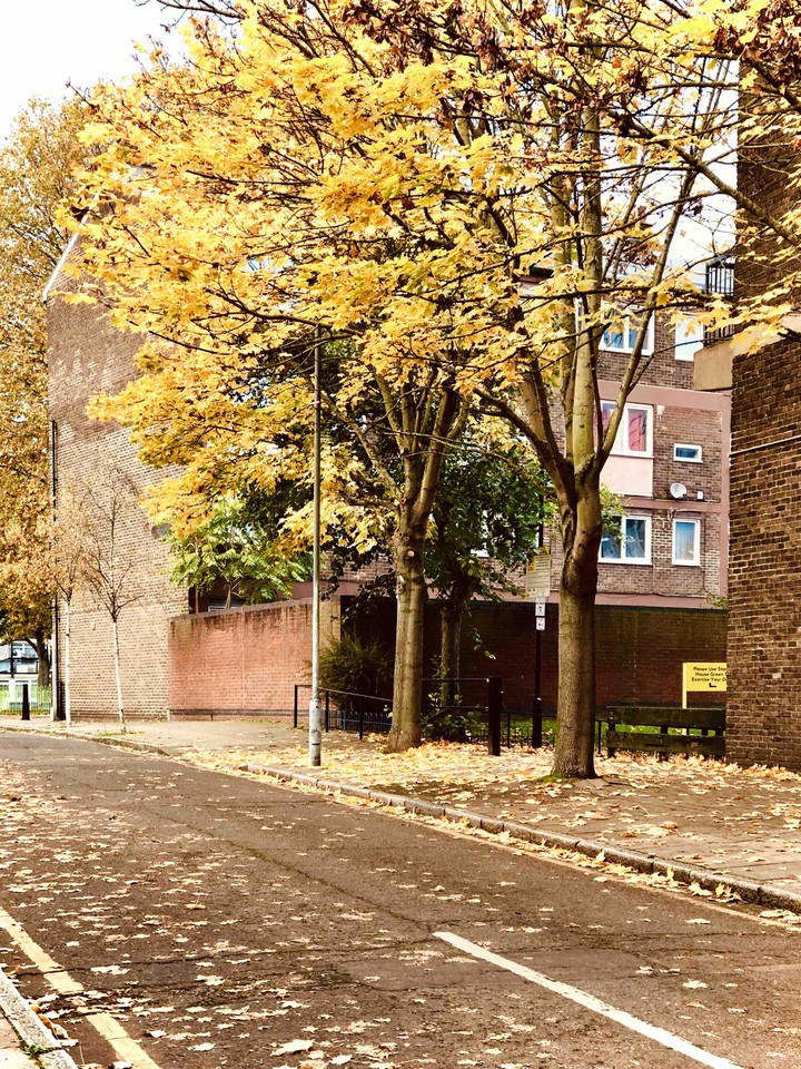 fall ?